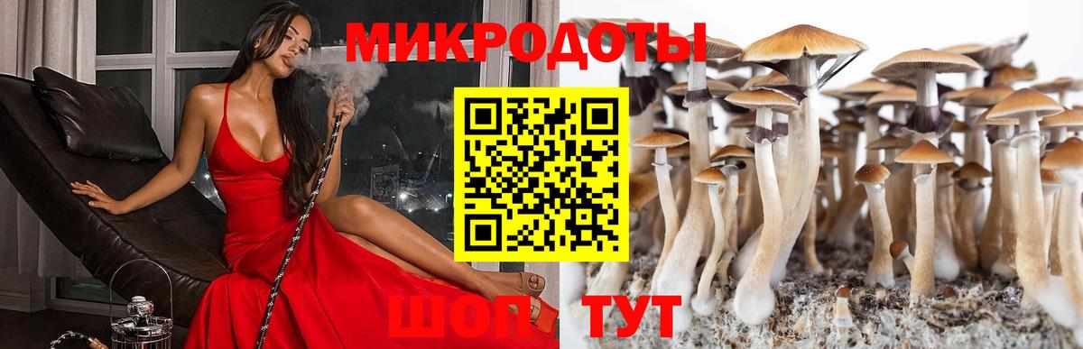 Галлюциногенные грибы ЛСД Хабаровск