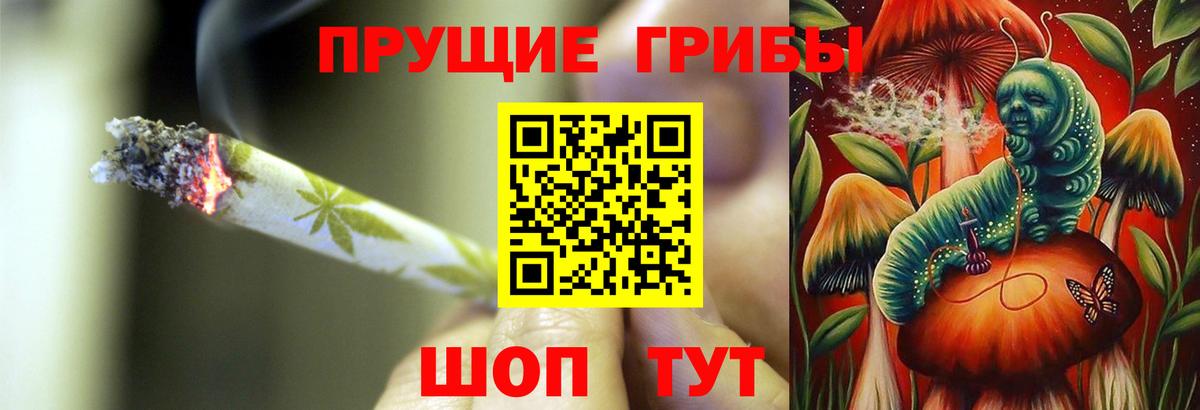 Хабаровск  Галлюциногенные грибы Cubensis  Вход с VPN  Псилоцибиновые грибы прущие грибы 